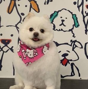 Meet your Posher, Yenneis